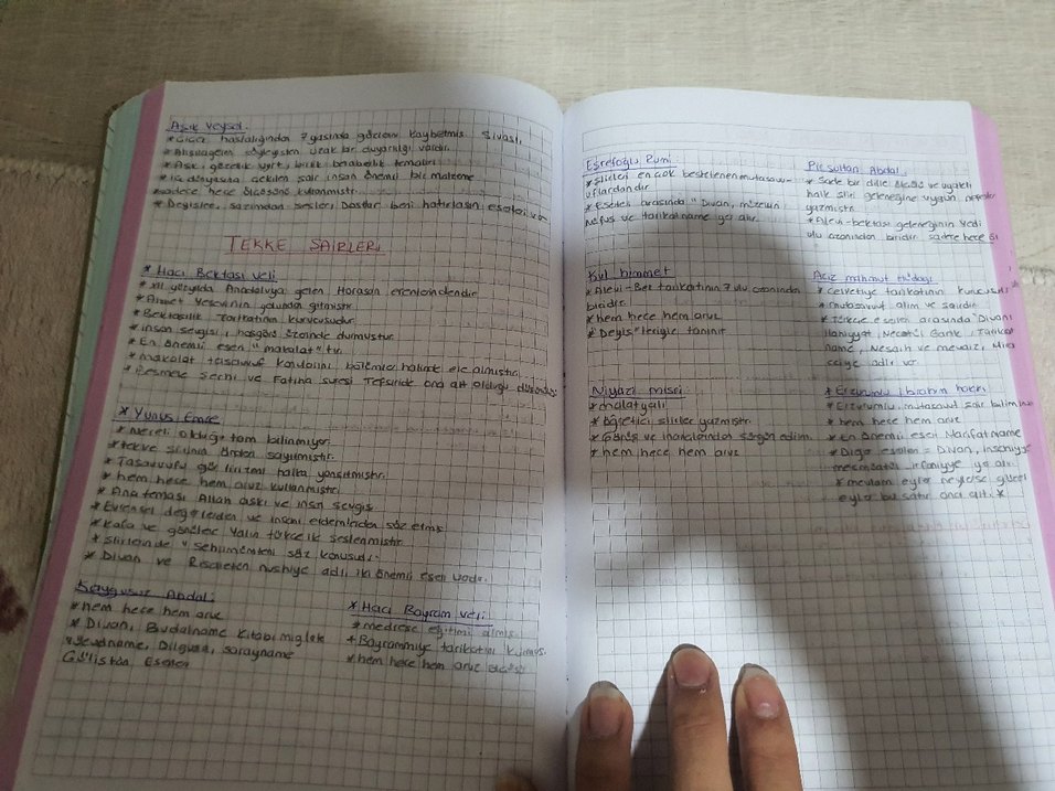 El Yazısı Notları - Deneme Kategorisi ayt edebiyat özet defteri - Görsel 4
