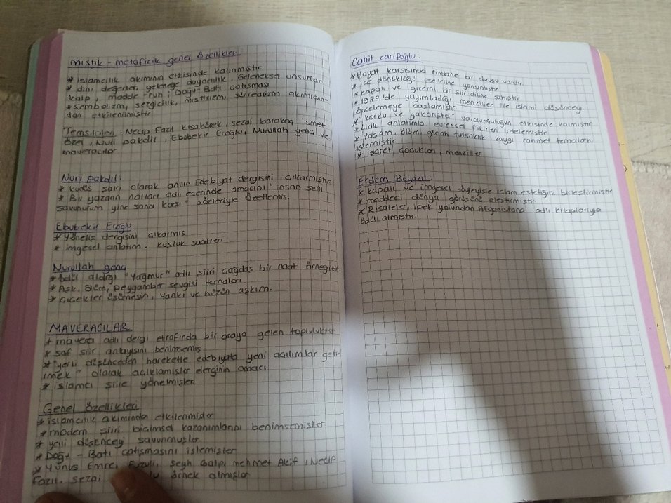 El Yazısı Notları - Deneme Kategorisi ayt edebiyat özet defteri - Görsel 5