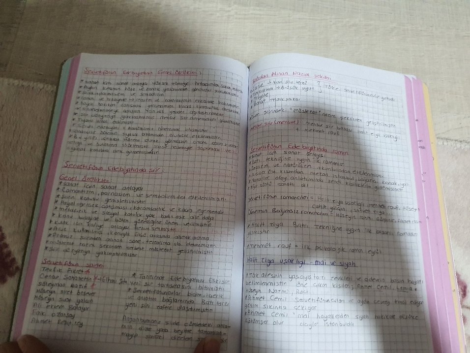 El Yazısı Notları - Deneme Kategorisi ayt edebiyat özet defteri - Görsel 3