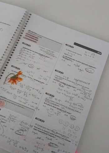 Beden 2024-2025 Bıyıklı Matematik AYT Kampı