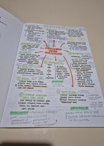 Beden TYT Ders Notları Seti - 8 Kitap