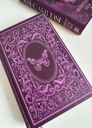 Asi Çakıltaşı - Binnur Şafak Nigiz (Ciltli) - Görsel 2