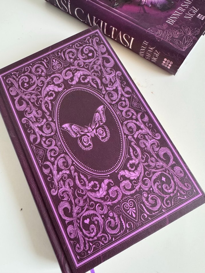 Asi Çakıltaşı - Binnur Şafak Nigiz (Ciltli) - Görsel 2