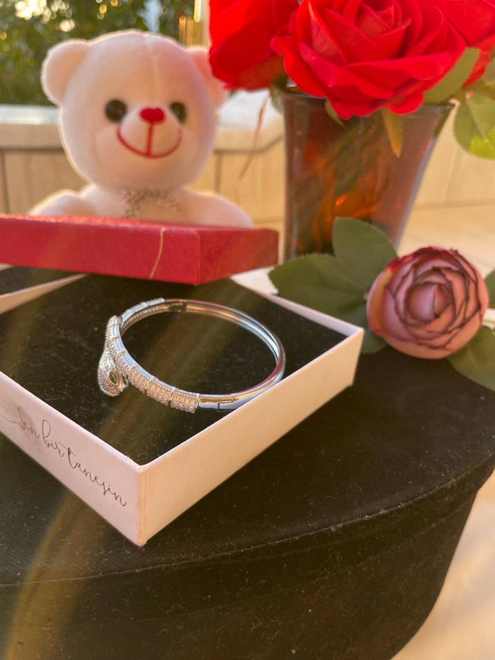 Gümüş yılan detaylı bileklik - Görsel 2