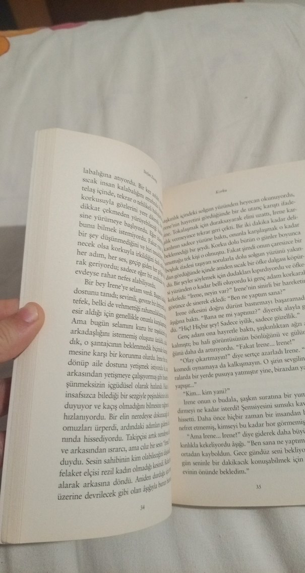 Korku - Stefan Zweig - Görsel 3