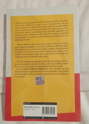 Booth Tarkington - Önyedi Romanı - Görsel 3