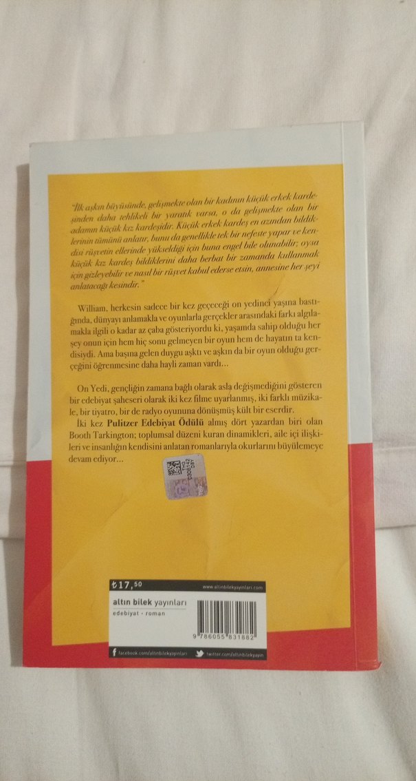 Booth Tarkington - Önyedi Romanı - Görsel 3