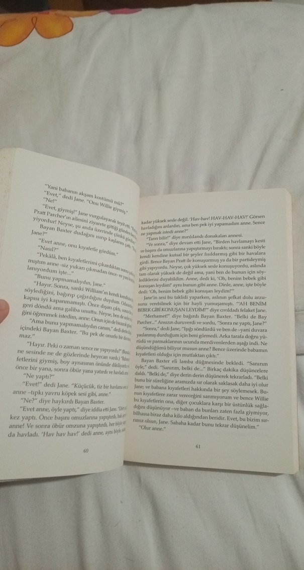 Booth Tarkington - Önyedi Romanı - Görsel 2