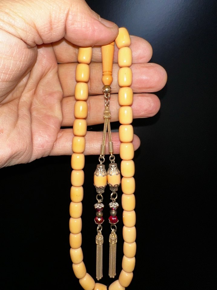 KANAYAN BAGA - Görsel 3