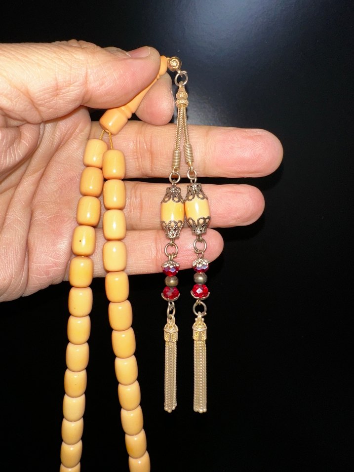 KANAYAN BAGA - Görsel 2