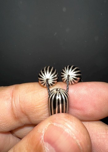 ÜSTAT MUHAMMET AYDOĞAN - Görsel 3