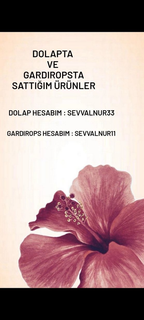 Lacivert Kadın Kısa Kollu Tişört - Görsel 2