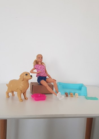 Pembe Kıyafetli barbie Bebek ve Evcil Hayvan Seti