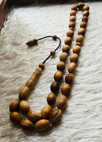 Koleksiyonluk İri Zeytin Agaci