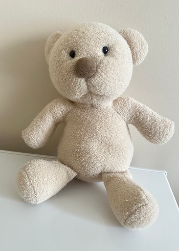 teddy bear pelus