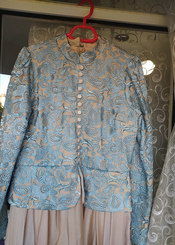 Uzun Kollu Bej Ve Gri Nakışlı Vintage Kadın Elbise - Görsel 3