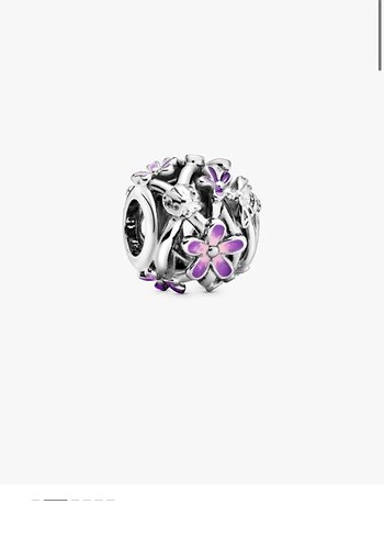 Pandora kalp ve yılan zinciri bileklik ve charmları - Görsel 5