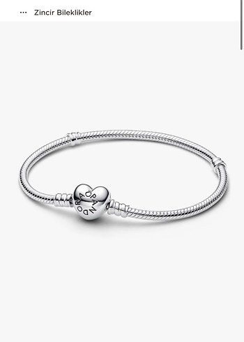 Pandora kalp ve yılan zinciri bileklik ve charmları - Görsel 4