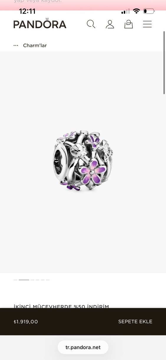 Pandora kalp ve yılan zinciri bileklik ve charmları - Görsel 5