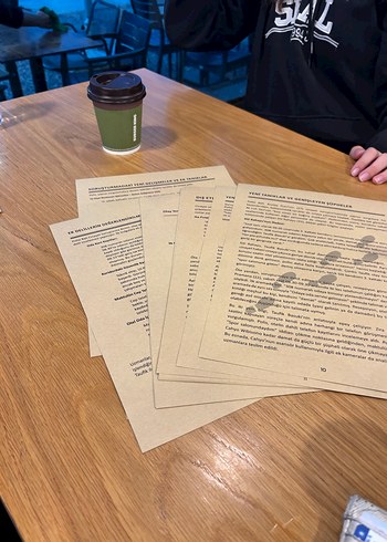 Dedektif Dava Çözme Oyunu - Balayı Davası - Görsel 2