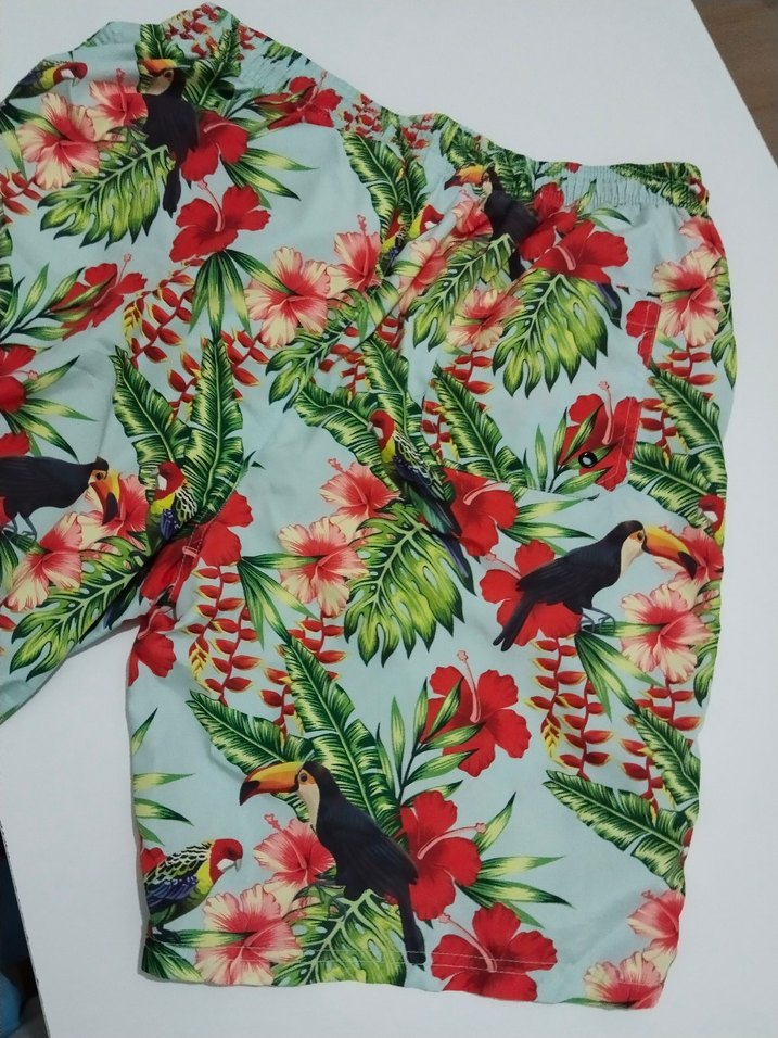 Renkli Tropikal Desenli Erkek deniz Şort - Görsel 2