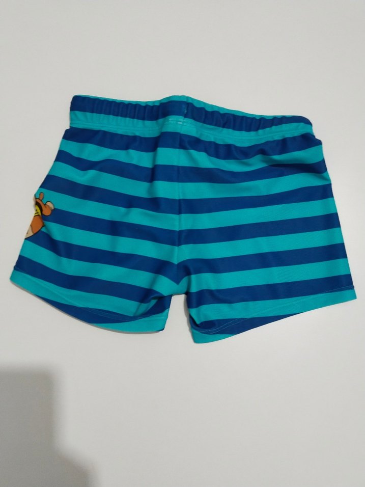 Çizgili Renkli Erkek Çocuk Mayo Şortu - Görsel 2