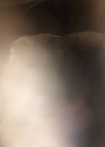 kirmizi therian maske tiktok:9lives.renn - Görsel 5