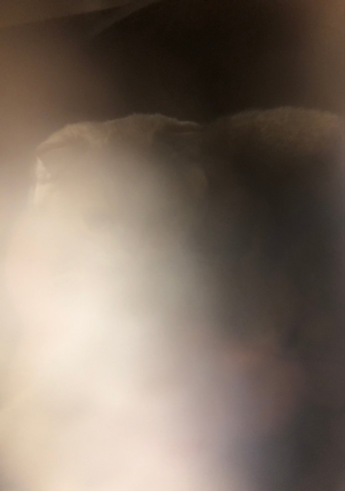 kirmizi therian maske tiktok:9lives.renn - Görsel 5