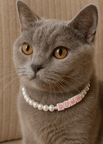Beden Renk Kişiye Özel İnci Kedi Tasması