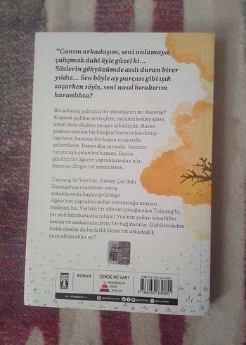 Canım Arkadaşım - Özgür Balpınar - Görsel 2