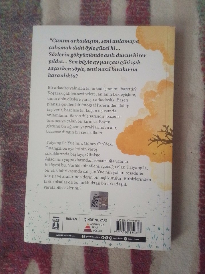 Canım Arkadaşım - Özgür Balpınar - Görsel 2