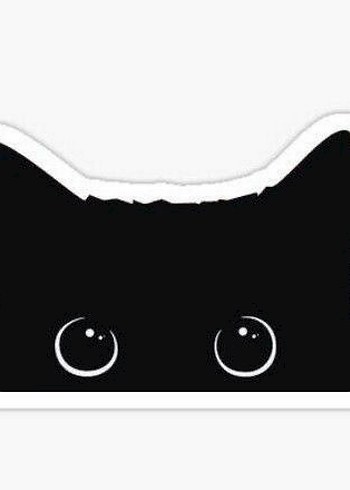 15 adet Aestetik siyah beyaz posterler - Görsel 6