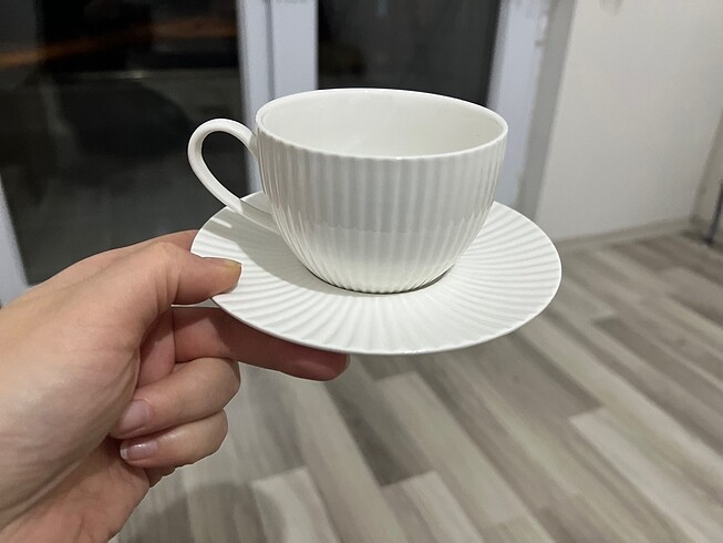 Karaca Karaca seashell