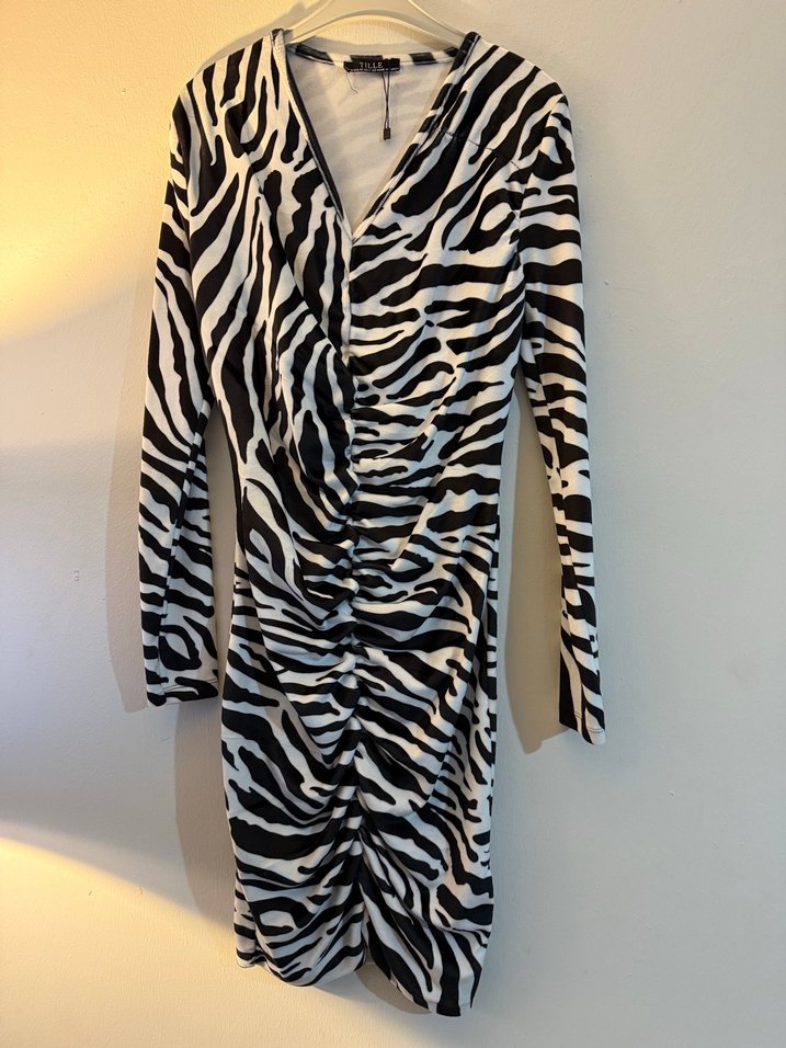 Zebra Desenli Uzun Kollu Mini Elbise - Görsel 3