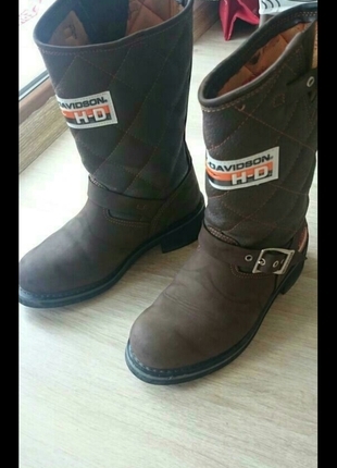 Tertemiz Harley