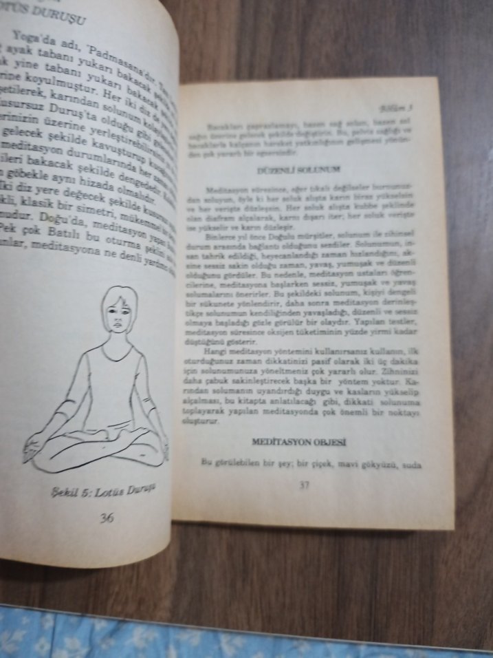 Meditasyon - James Hewitt - Görsel 4