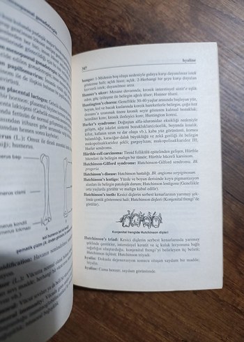 Beden Renk Tıp Terimleri El Sözlüğü - Prof. Dr. Utkan Kocatürk