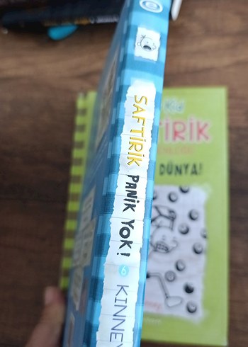 Saftirik Greg'in Günlüğü: Panik Yok! - Görsel 4