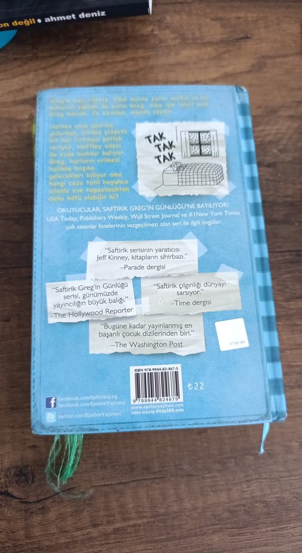 Saftirik Greg'in Günlüğü: Panik Yok! - Görsel 3