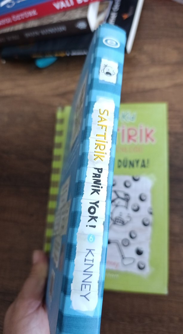 Saftirik Greg'in Günlüğü: Panik Yok! - Görsel 4