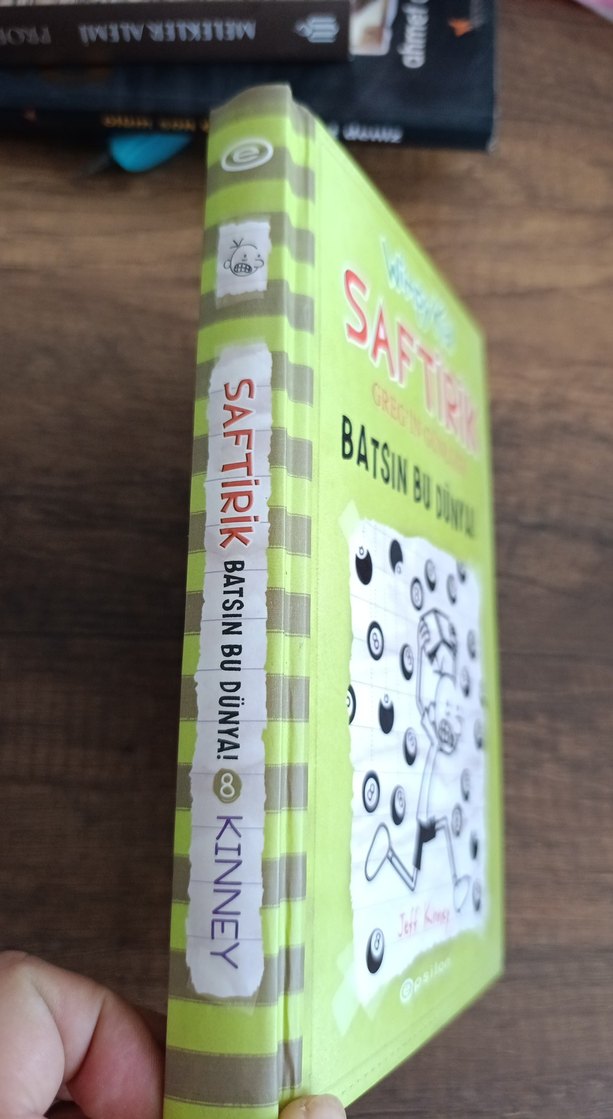 Saftirik Greg'in Günlüğü - Batsın Bu Dünya! - Görsel 2