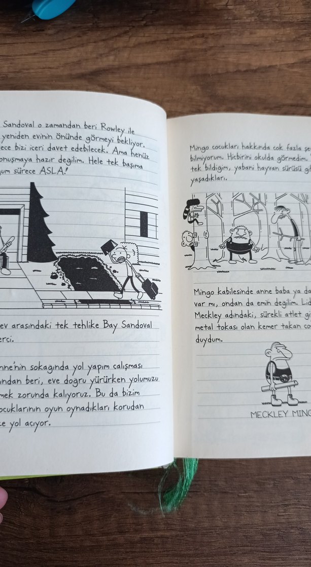 Saftirik Greg'in Günlüğü - Batsın Bu Dünya! - Görsel 3