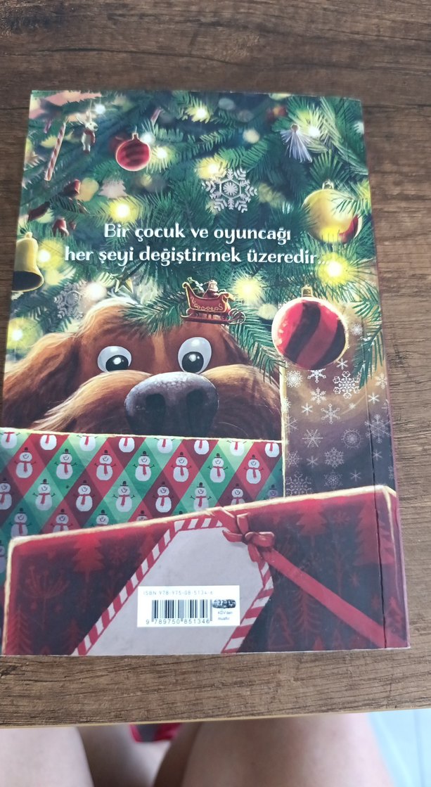 Noel Domuzu ile Jack'in Müthiş Maceraları - Görsel 4