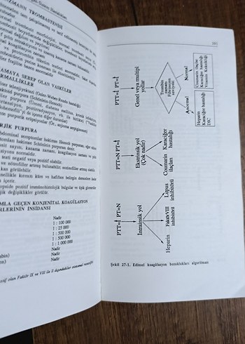 Teşhiste Laboratuvar Testleri Kitabı - Görsel 4
