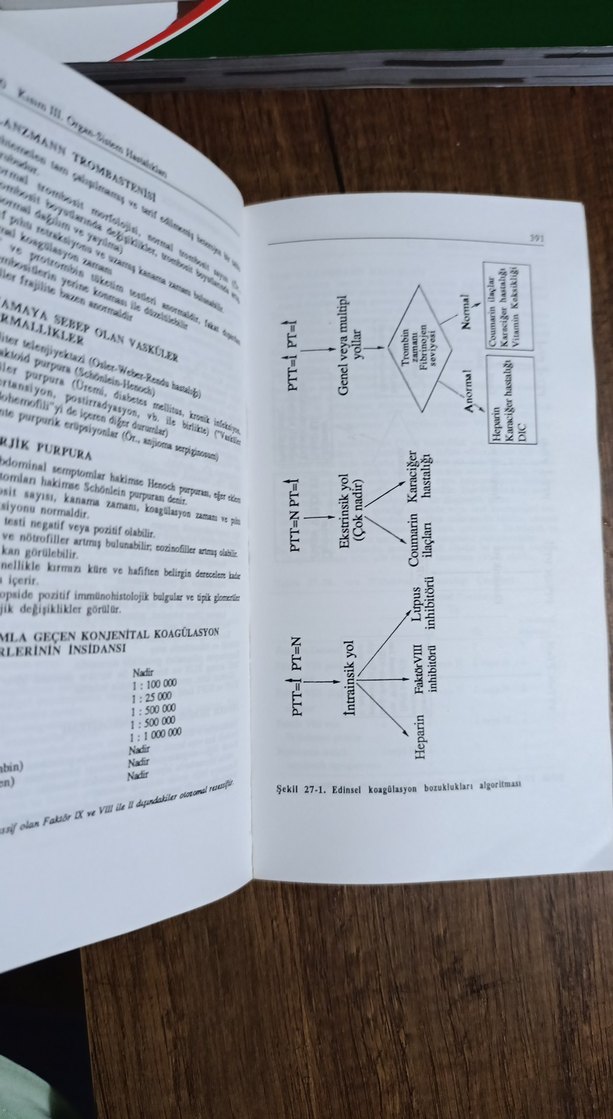 Teşhiste Laboratuvar Testleri Kitabı - Görsel 4