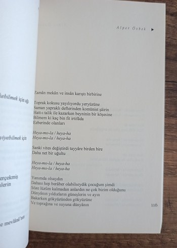 Nazım Hikmet Destanı - Alper Özbek - Görsel 3