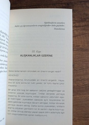 Su Hortumlu Dünyada Fil Yalnız Bir Hayvandır - Görsel 3