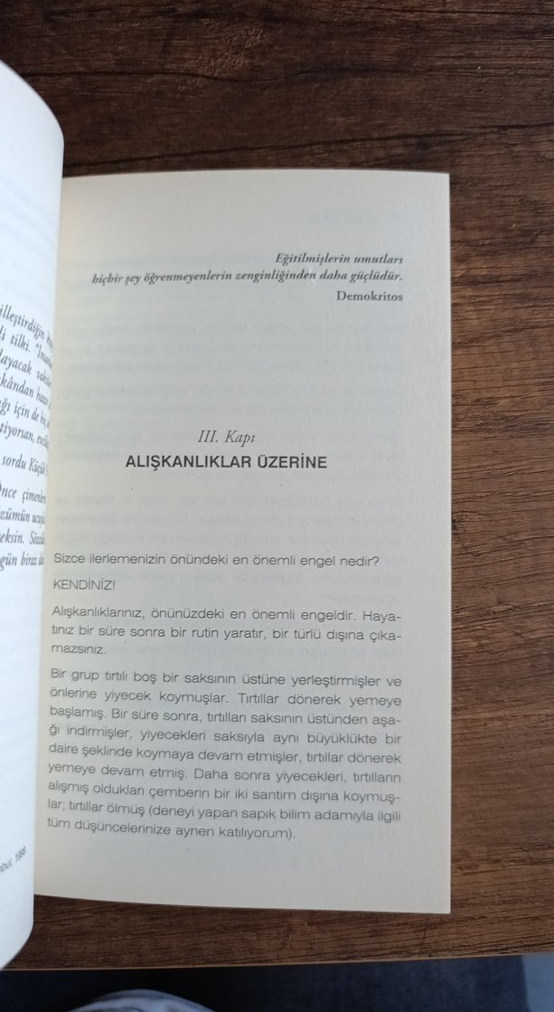 Su Hortumlu Dünyada Fil Yalnız Bir Hayvandır - Görsel 3