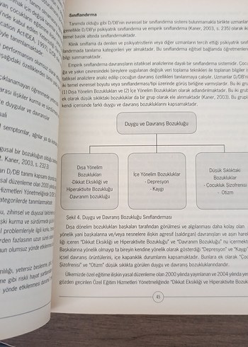 Özel Eğitime Giriş Kitabı - Görsel 3