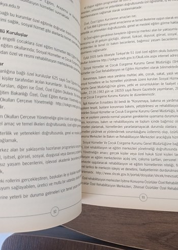 Özel Eğitime Giriş Kitabı - Görsel 6